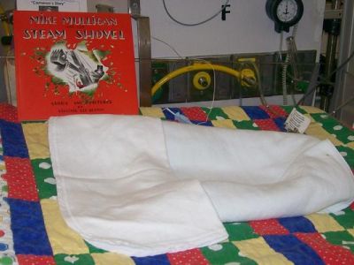 Project: Cameron's Story Bookraiser!